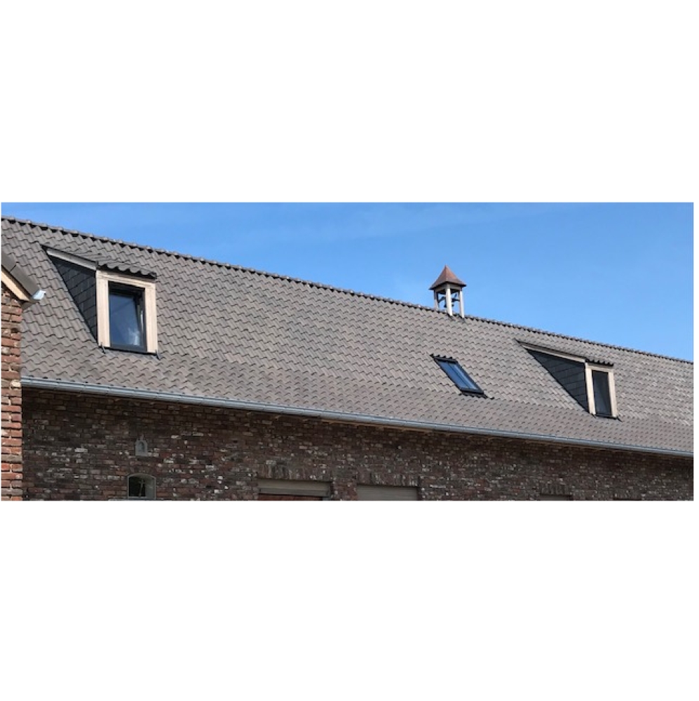 Lucarnes en aluminium noir - Profel