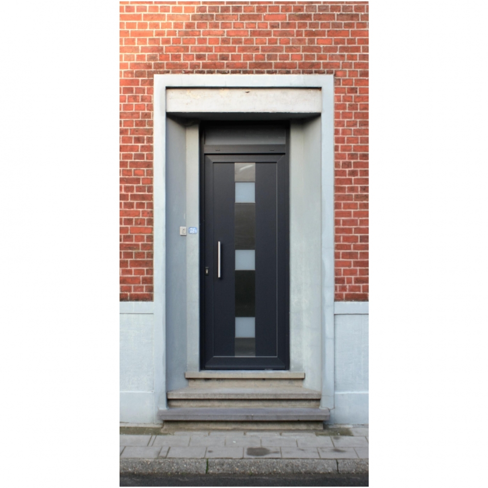 Porte PVC avec insert inox