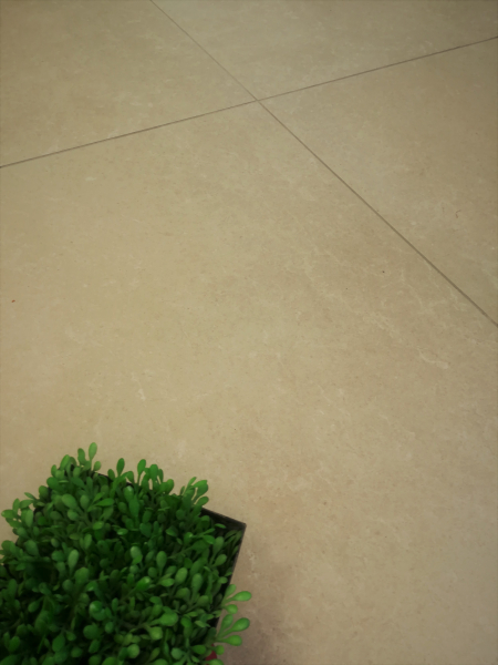 Start Topo 60/60